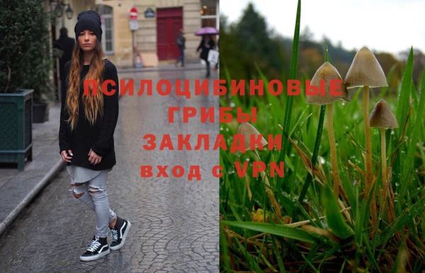 соль курить ск Волосово
