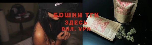 стафф Вязьма