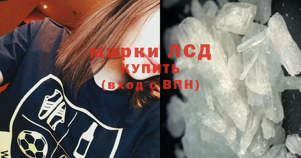 стафф Вязьма