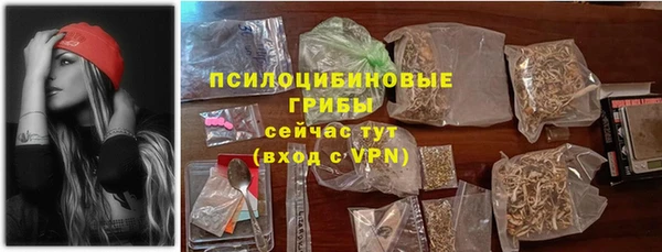 марки nbome Вяземский