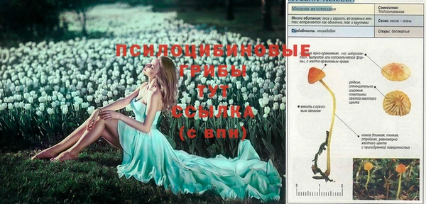 mix Володарск