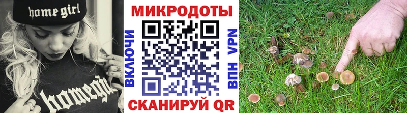 shop телеграм  Зея  Псилоцибиновые грибы MAGIC MUSHROOMS 
